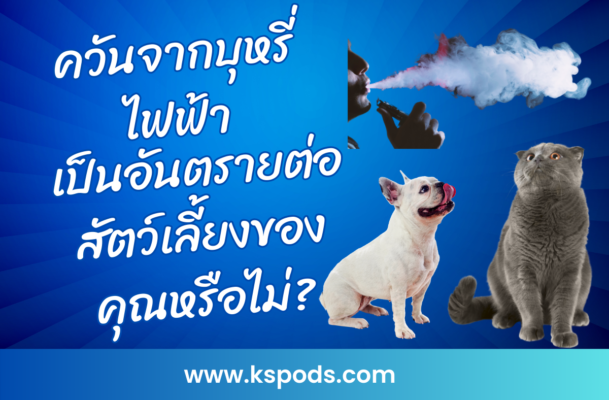 ควันจากบุหรี่ไฟฟ้าอาจเป็นอันตรายต่อสัตว์เลี้ยงของคุณได้อย่างไร? สำรวจผลกระทบที่ซ่อนอยู่และวิธีป้องกันเพื่อความปลอดภัยของสัตว์เลี้ยงที่คุณรัก